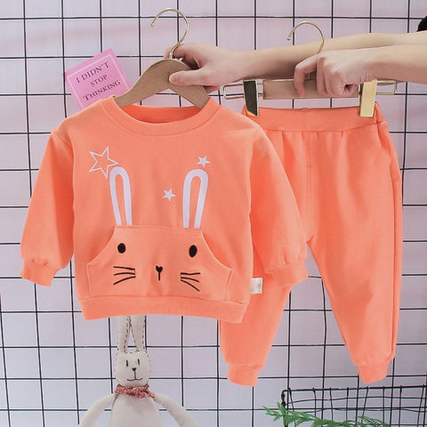 Baby Cotton Hoodies Pants 2pcs Sets