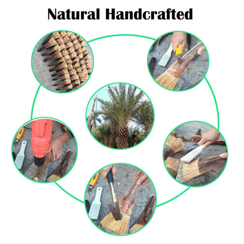 Natural  Coconut Palm Brush