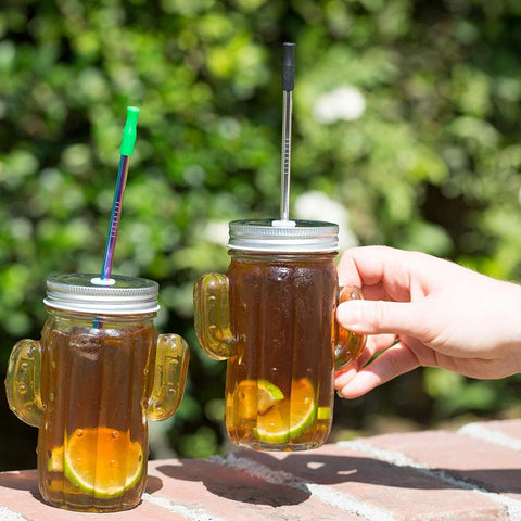 Stainless Steel Straws Set with Brush