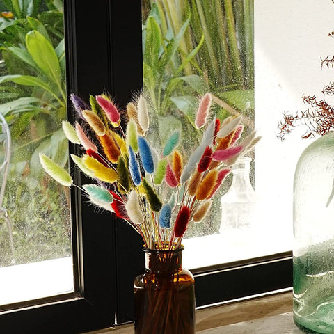 Pampas Grass Colorful Flowers