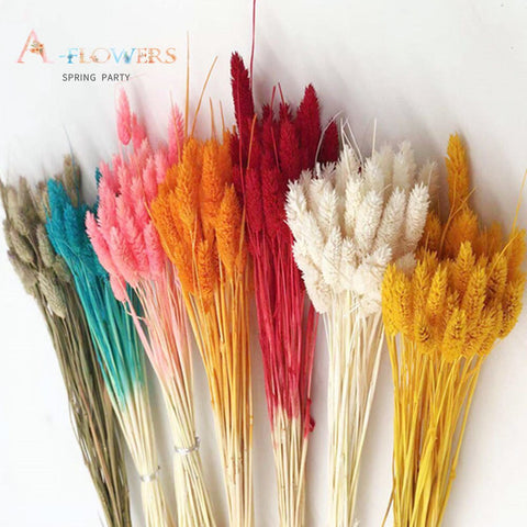 Natural Jewelry Grass Dried Flowers
