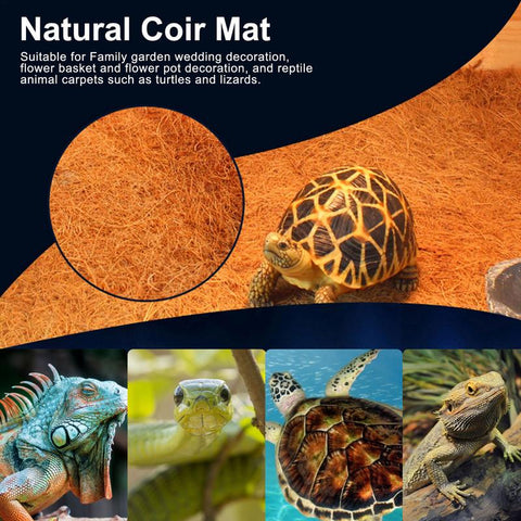 Coconut Fiber Mat for Pet