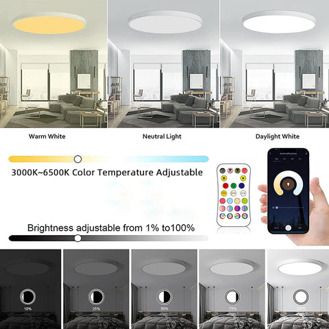 Smart WIFI LED Round Ceiling Light