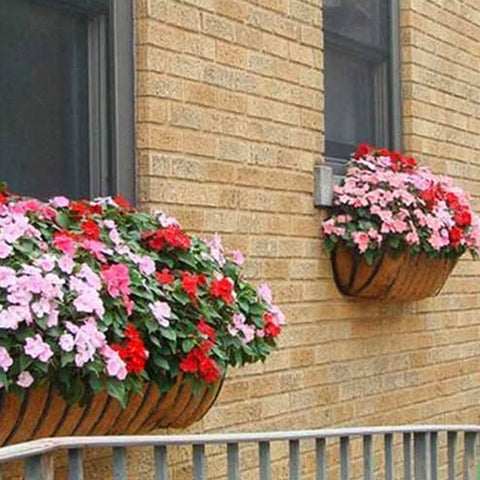 Coconut Vegetable Flower Pot Basket