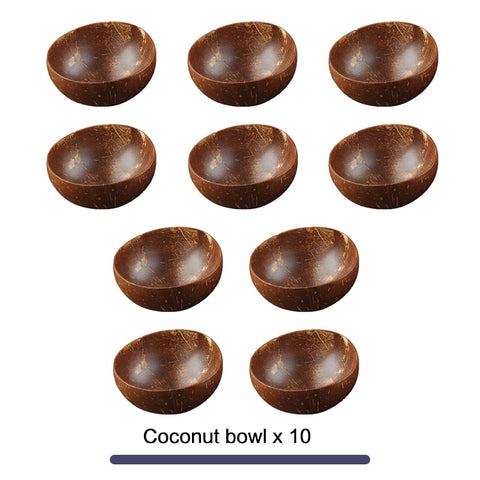 12-15cm Natural Handmade Coconut Bowl