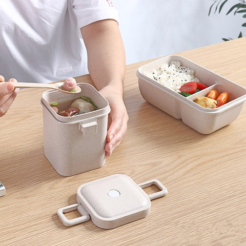 Wheat straw lunch box for kids
