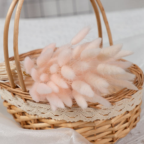 Natural Pampas Grass Dried Flower