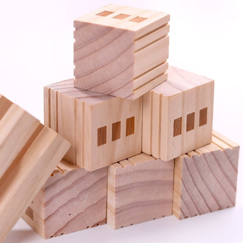 Wood Montessori Stacking Toy for Kids