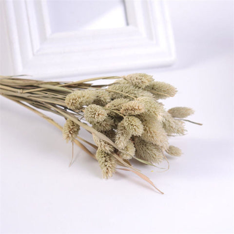 Natural Jewelry Grass Dried Flowers