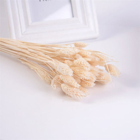 Natural Jewelry Grass Dried Flowers