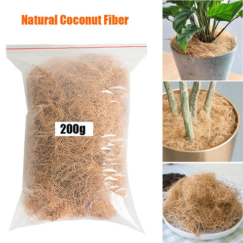 Maceta de fibra de cáscara de coco natural